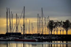 Ackermans Rotating Expert