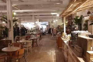 Bluebirds in the Backyard