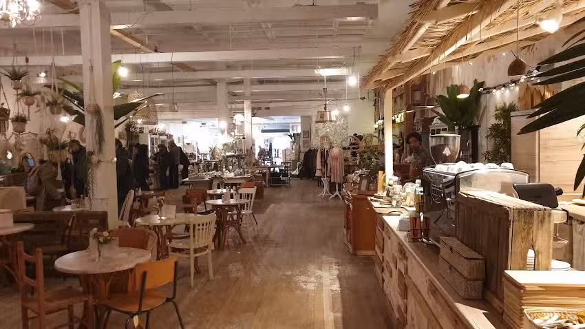 Bluebirds in the Backyard