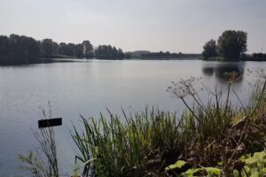 Bob & Belle &ndash; Trendy Accessoires voor Hippe Kids