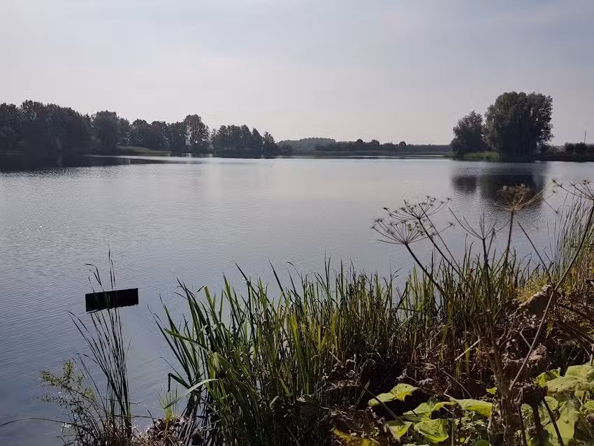 Bob & Belle &ndash; Trendy Accessoires voor Hippe Kids