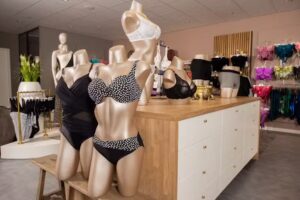 Corina Lingerie Mammacare