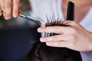 De mannen van den Berg