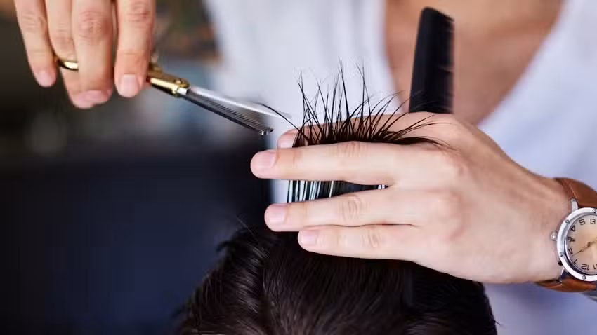 De mannen van den Berg