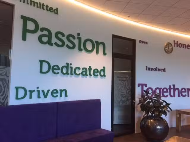 Decotrendz Piepschuim producten