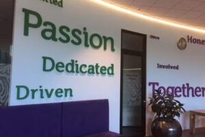 Decotrendz Piepschuim producten