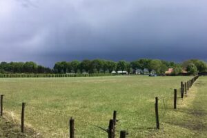 Derikx Boomkwekerijen Bv