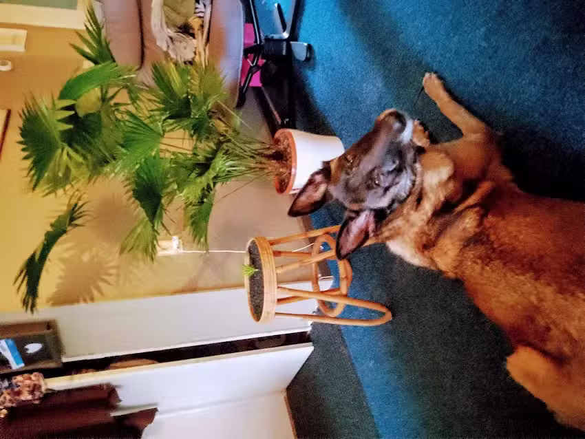 Giovanni&rsquo;s Boutique