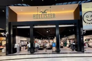Hollister Co.
