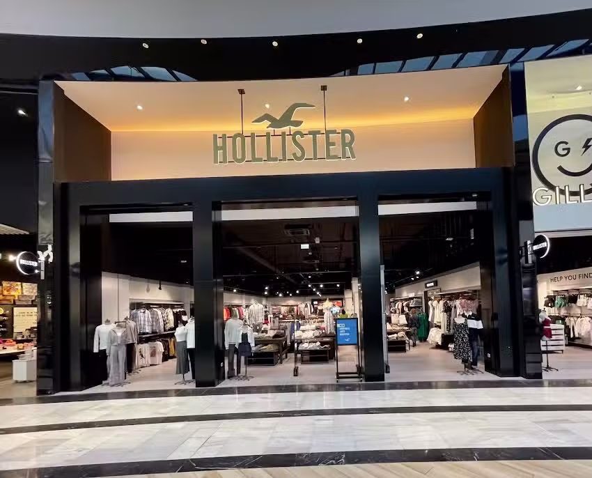 Hollister Co.