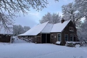 KattenKunstcaf&eacute; BEA