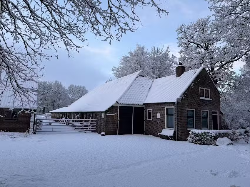 KattenKunstcaf&eacute; BEA