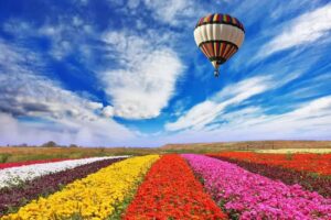 Pro Borduren &ndash; Borduurstudio