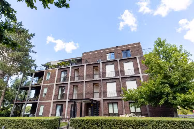 Ridiculous Classic -Keijzer Knitwear