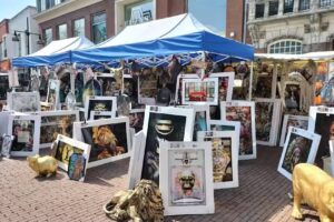 Schijvens mode Helmond