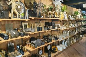 Shop & Smile: Aqua & Fashion