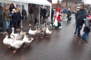 TAKKO FASHION Gorredijk