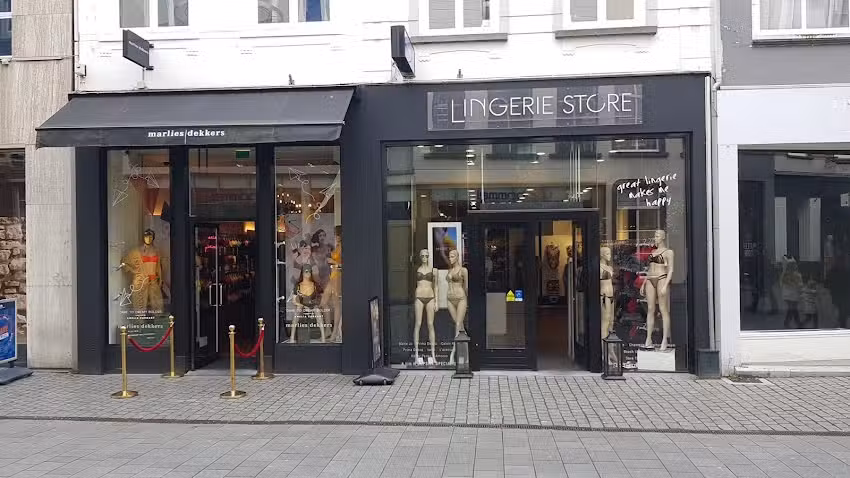 The Lingerie Store