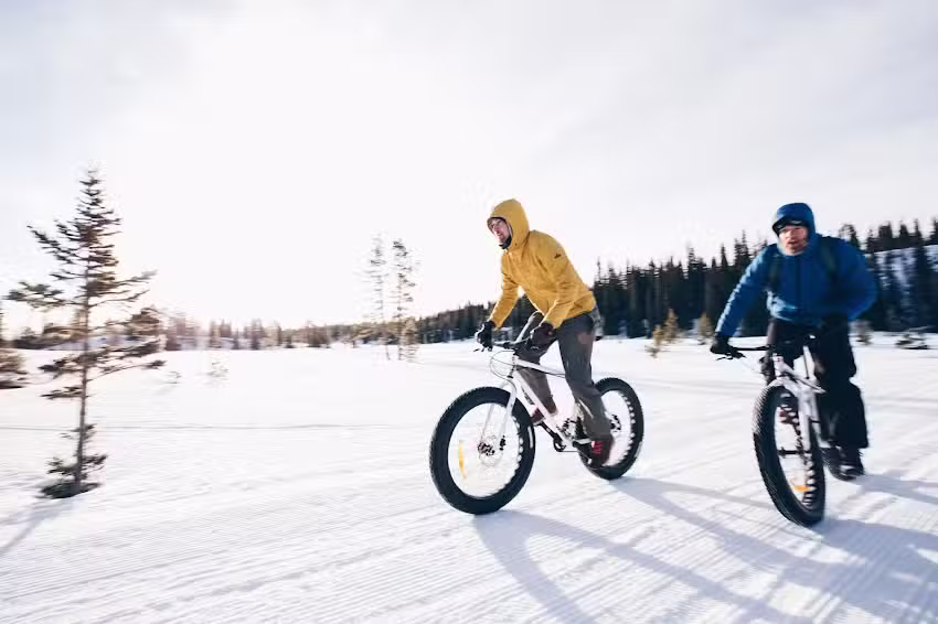 The Nomad Company B.V.