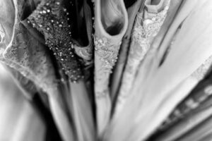 WJ Gelegenheidskleding / Wij werken alleen op afspraak (open van woensdag tm zaterdag)