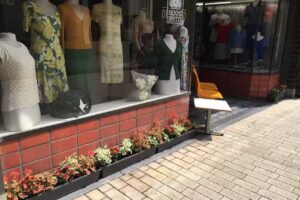 Zijne Koninklijke Hoogheid